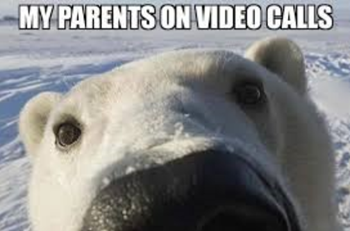 My parents on video calls